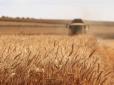 Піднебесна на межі міжнародного скандалу: РФ планує вивозити крадене українське зерно до Китаю, - ЦНС