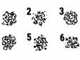 Психологічний тест: Обраний візерунок розповість про ваш характер