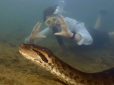 Монстр-людожер з фільмів жахів: В Амазонії знайдено найбільшу у світі змію (відео)