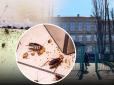 Скандал у ліцеї Києва: Працівники ледве не потруїли дітей отрутою для тарганів