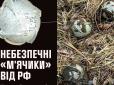 Дуже схожі на сріблясті тенісні м'ячики: Окупанти дистанційну мінують Україну авіабомбами