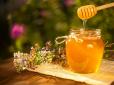 Є секрет! Як повернути рідку текстуру меду, що зацукрився
