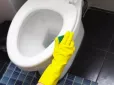 Господиням на замітку! Як легко позбутися вапняного нальоту в унітазі