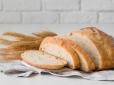А ви це знали? Який хліб знижує глікемічний індекс та підвищує ситість