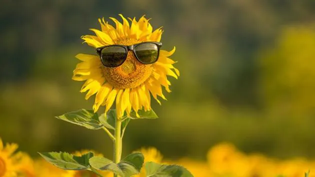 На Україну насувається справжня спека: Синоптикиня сказала, коли прогріє до +34°