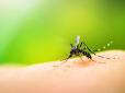 Комарі атакують? Експерт розкрив, як захистити себе за 10 секунд