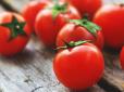 А ви це знали? Чому не можна зберігати помідори в холодильнику