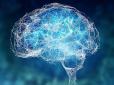 Мозок людини симулює реальність навколо: Вчені шокували заявою