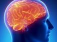 Хочете мозок, як у 20 років? Дослідження дає простий рецепт