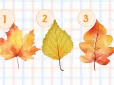 Психологічний тест: Якою буде ваша осінь? Оберіть листочок  - і дізнайтеся, що на вас чекає