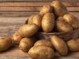Не прогадаєте! Коли найбільш вигідно закуповувати картоплю на зиму