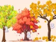Виберіть дерево - і дізнайтесь, чого потребує ваше серце цієї осені