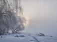 Аномаліям бути? Синоптик розповів, чи чекати взимку в Україні лютих морозів