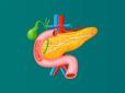 Ви могли це не знати! Які продукти вбивають підшлункову