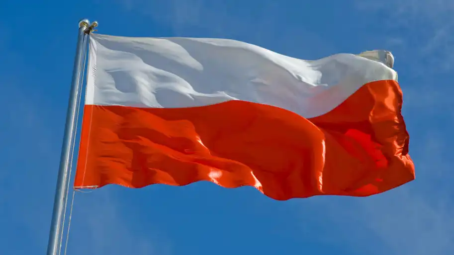 Загиблого знайшли в калюжі крові: У Польщі затримали підозрюваного у вбивстві 35-річного українця
