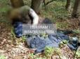 Хотів втекти, але стало погано: Українця виявили мертвим неподалік кордону з Румунією