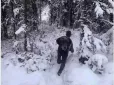 Перевірте себе! Що побачили першим - чоловіка чи собаку? Тест на особистість