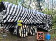 Росіяни вигадали дивний захист від дронів - техніку масово фарбують 