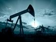 Оце так! Індія заявила, що купувала російську нафту на прохання США