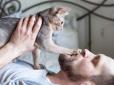 Це здивує! Чому коти сплять, згорнувшись калачиком - несподіване пояснення