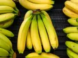 Названо найкращий час їсти банани: Ось у чому їх користь
