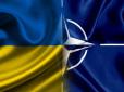 Оце так: Підготовка до саміту НАТО зайшла у глухий кут через Україну, - Bloomberg